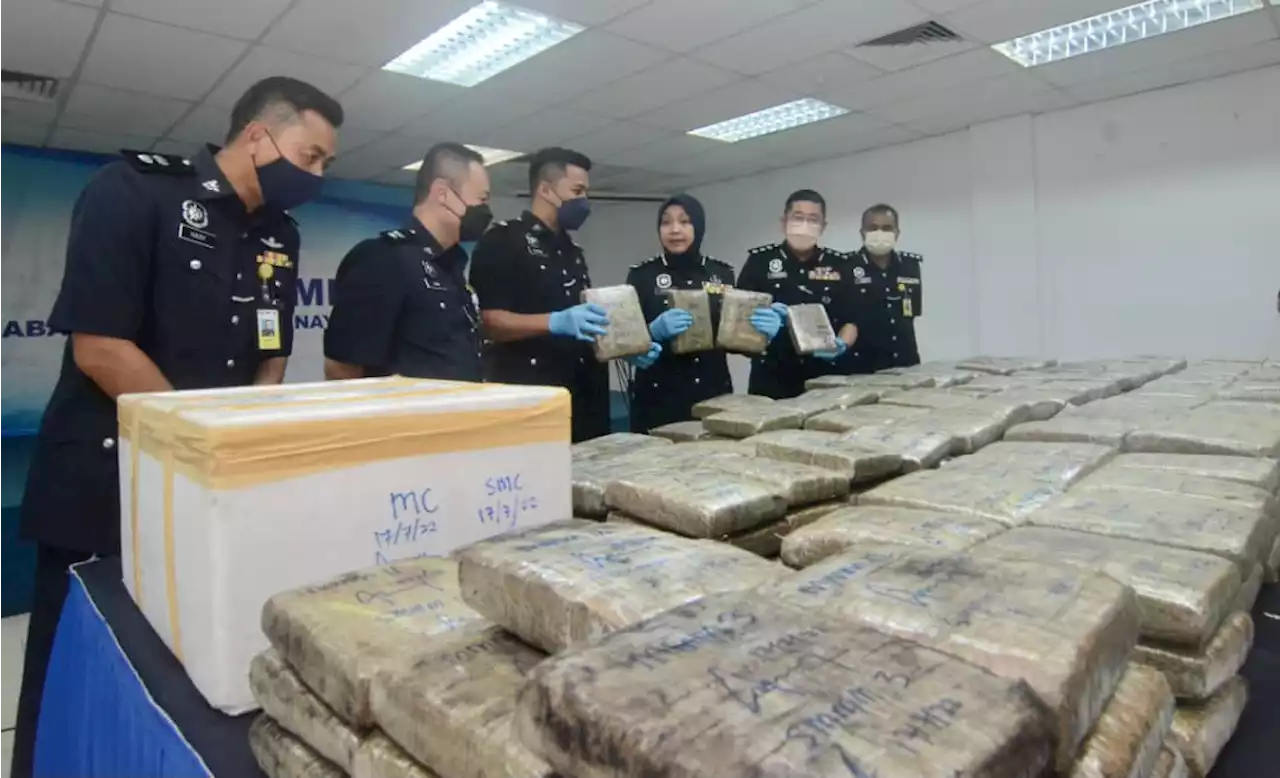 300kg ganja bernilai RM750,000 dirampas