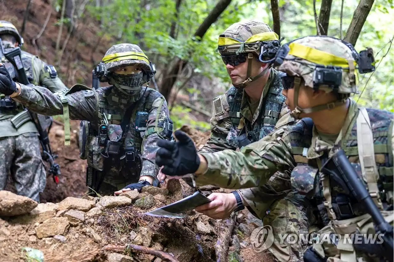 '을지프리덤가디언' 연합훈련 5년만에 부활…명칭은 변경될듯 | 연합뉴스