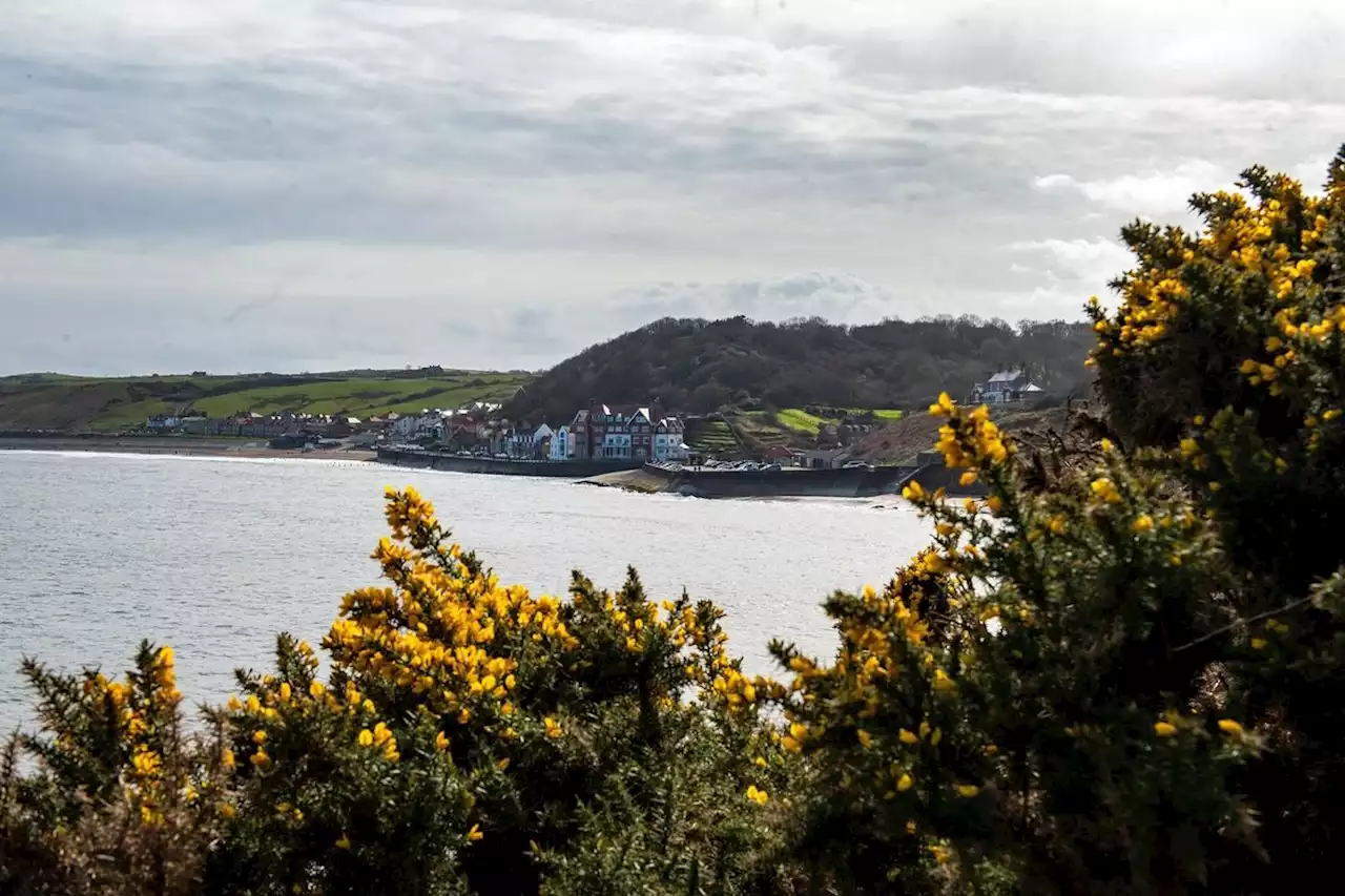 Property spotlight on the former fishing village of Sandsend which now attracts Hollywood royalty and big money