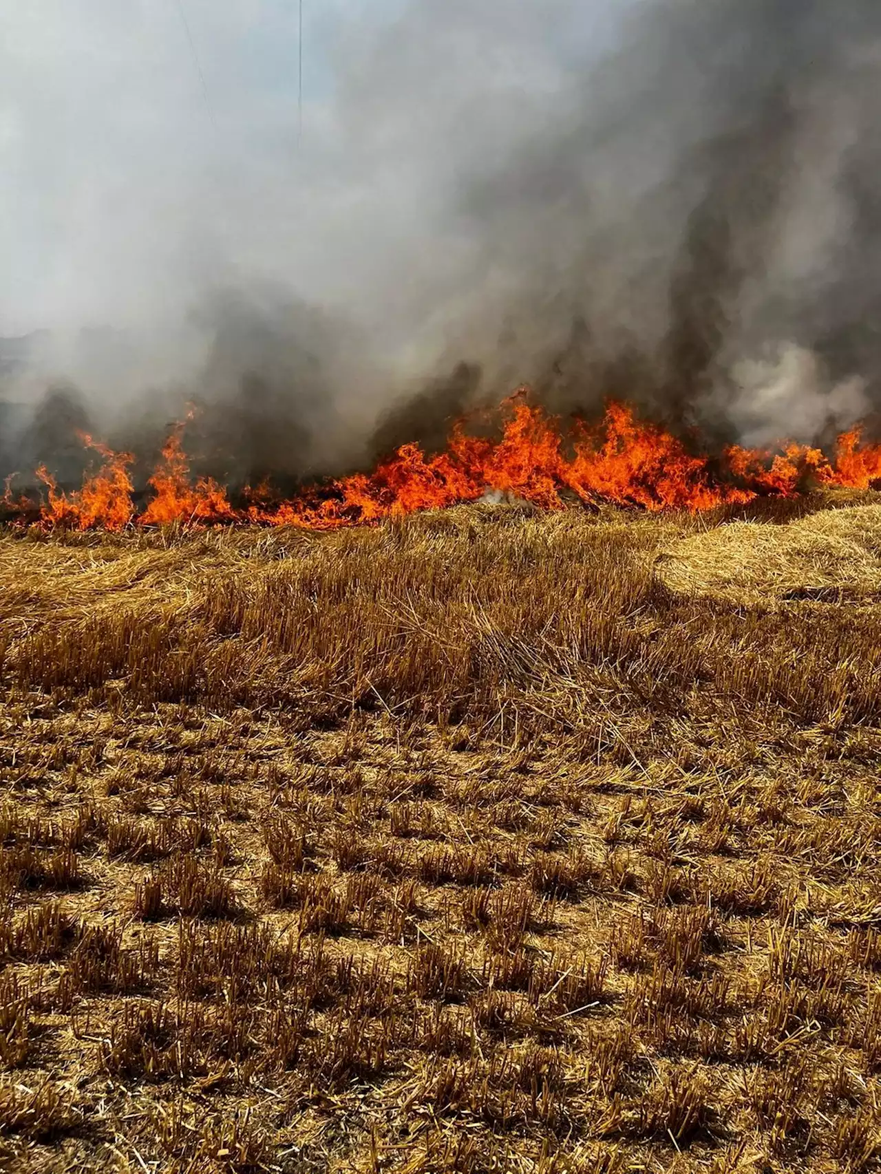 Watch video showing fire spreading across crops as Yorkshire firefighters tackle huge blaze