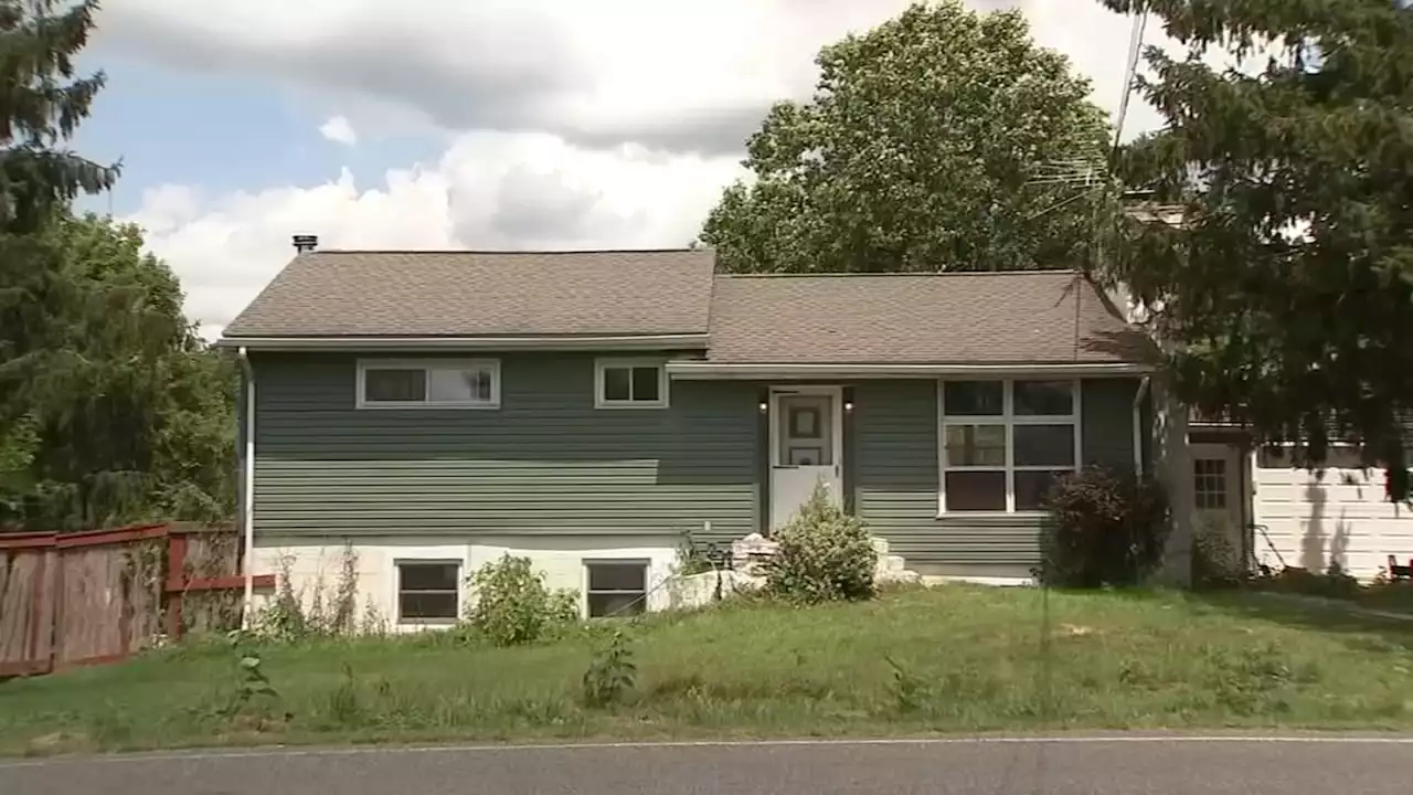 Officers shoot massive 15-foot pet snake coiled around man's neck in Pennsylvania