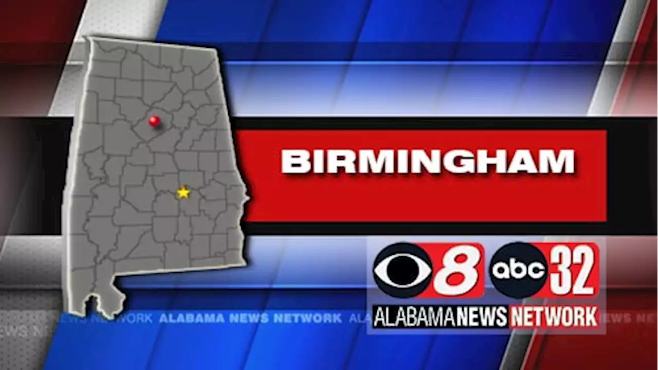 Two Babies Killed When Tree Falls on Home During Storm in Birmingham - Alabama News