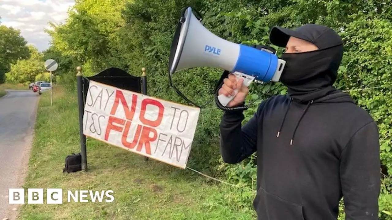 Nottinghamshire rabbit farm under pressure from anti-fur activists