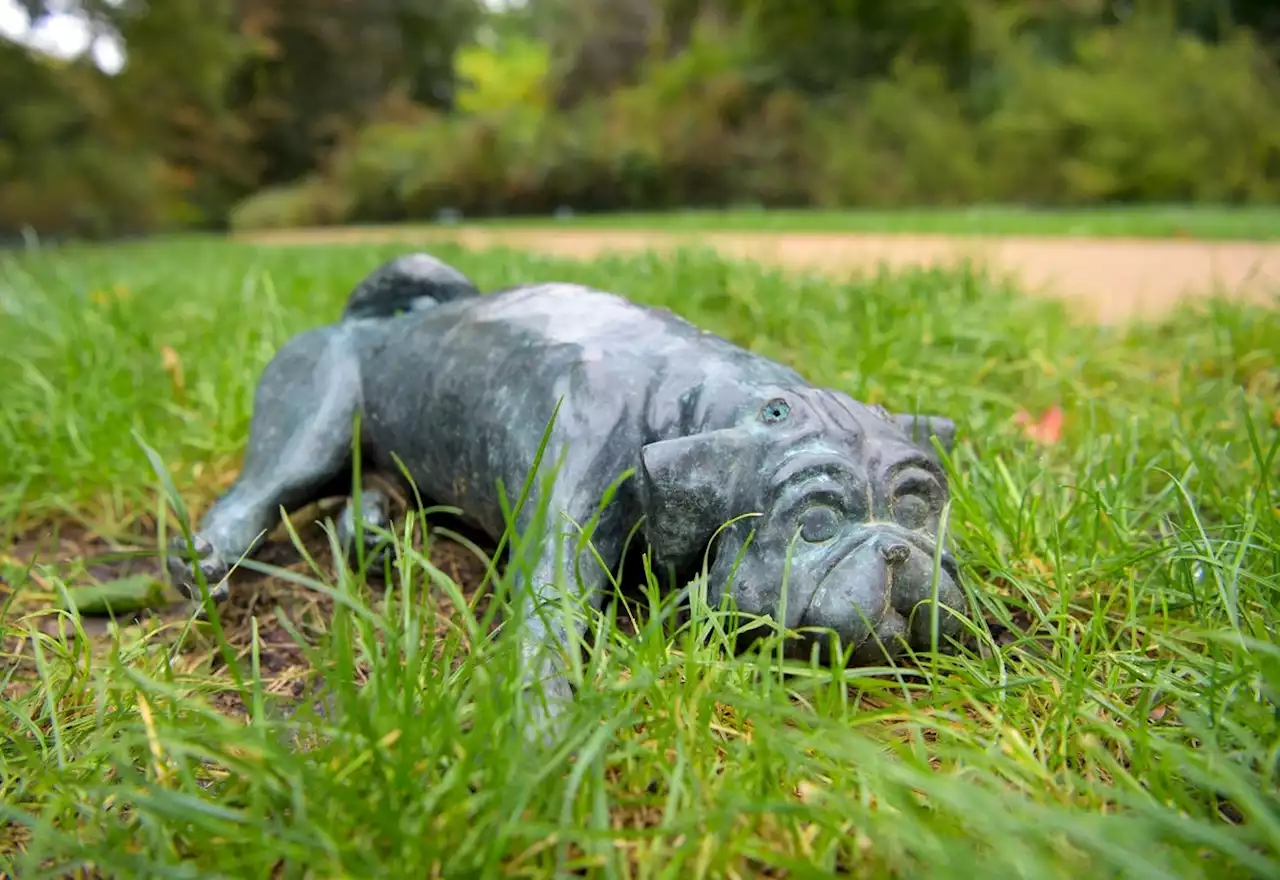 Bronze-Mops in Geburtsstadt von Loriot gestohlen