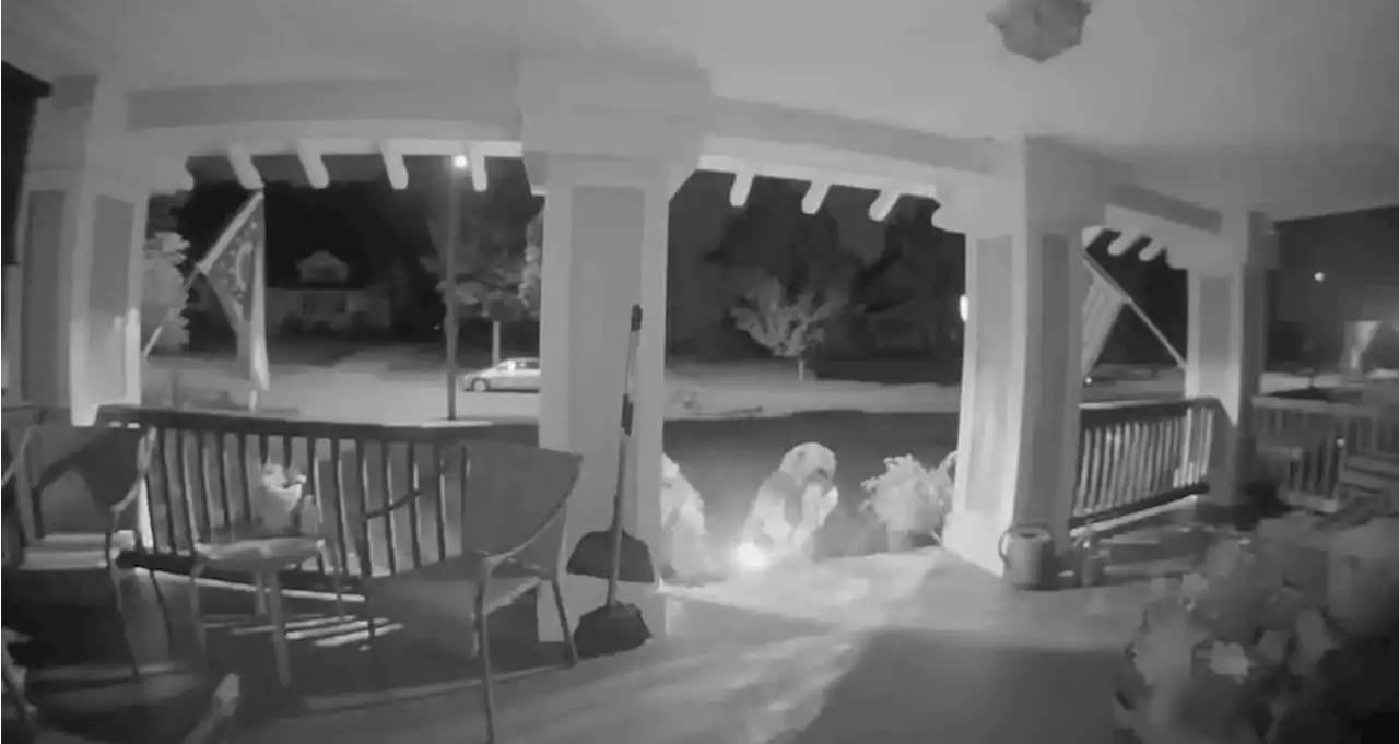 Cleveland Fire: camera catches suspects detonate explosive on front steps of home