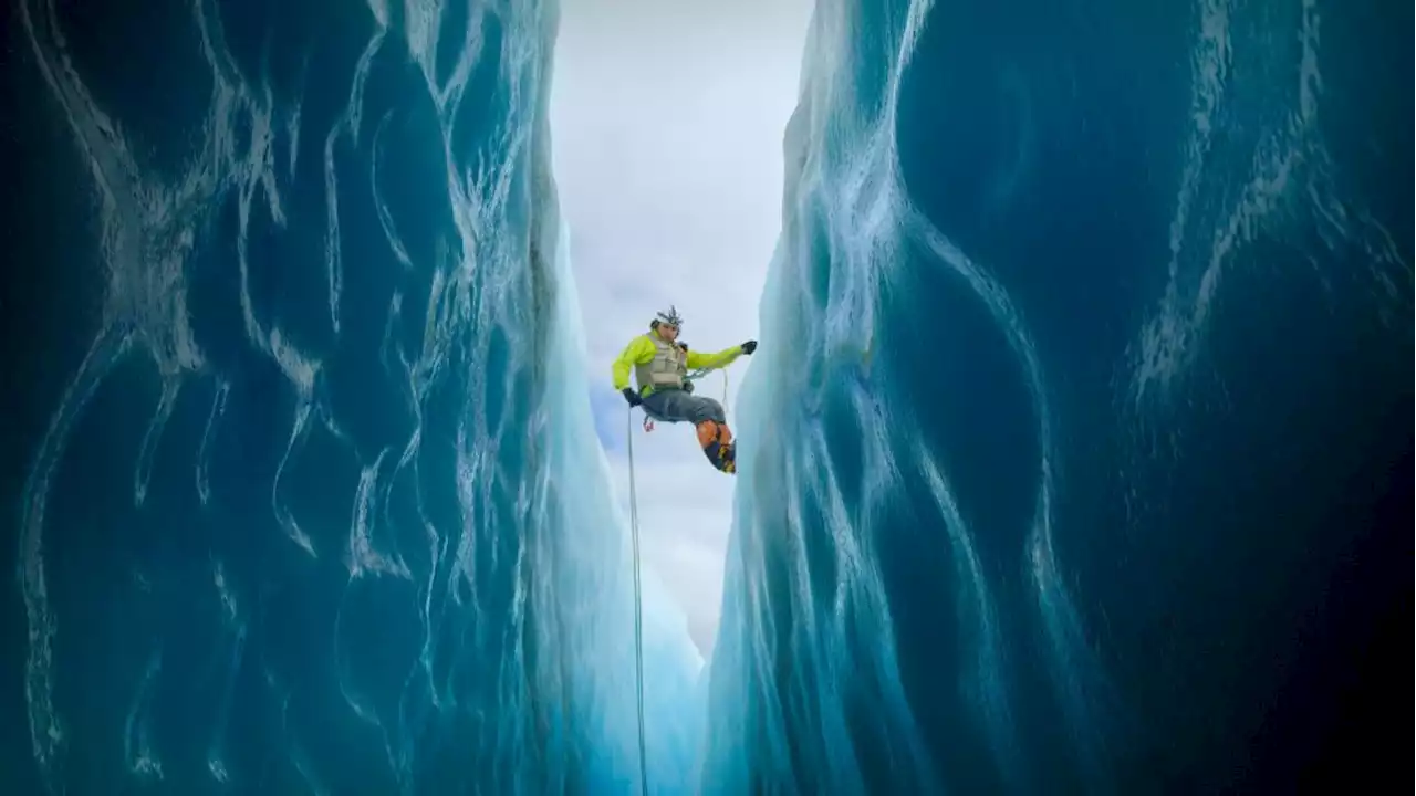 Meet the rare and mysterious Patagonian ice dragon that lives on rapidly disappearing glaciers