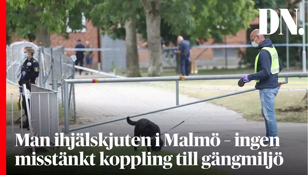 Man ihjälskjuten i Malmö – ingen misstänkt koppling till gängmiljö