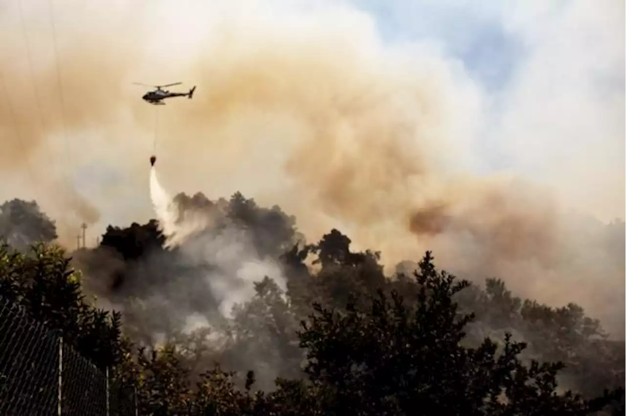 Italy heatwave peaks with 16 cities on red alert as Tuscany burns