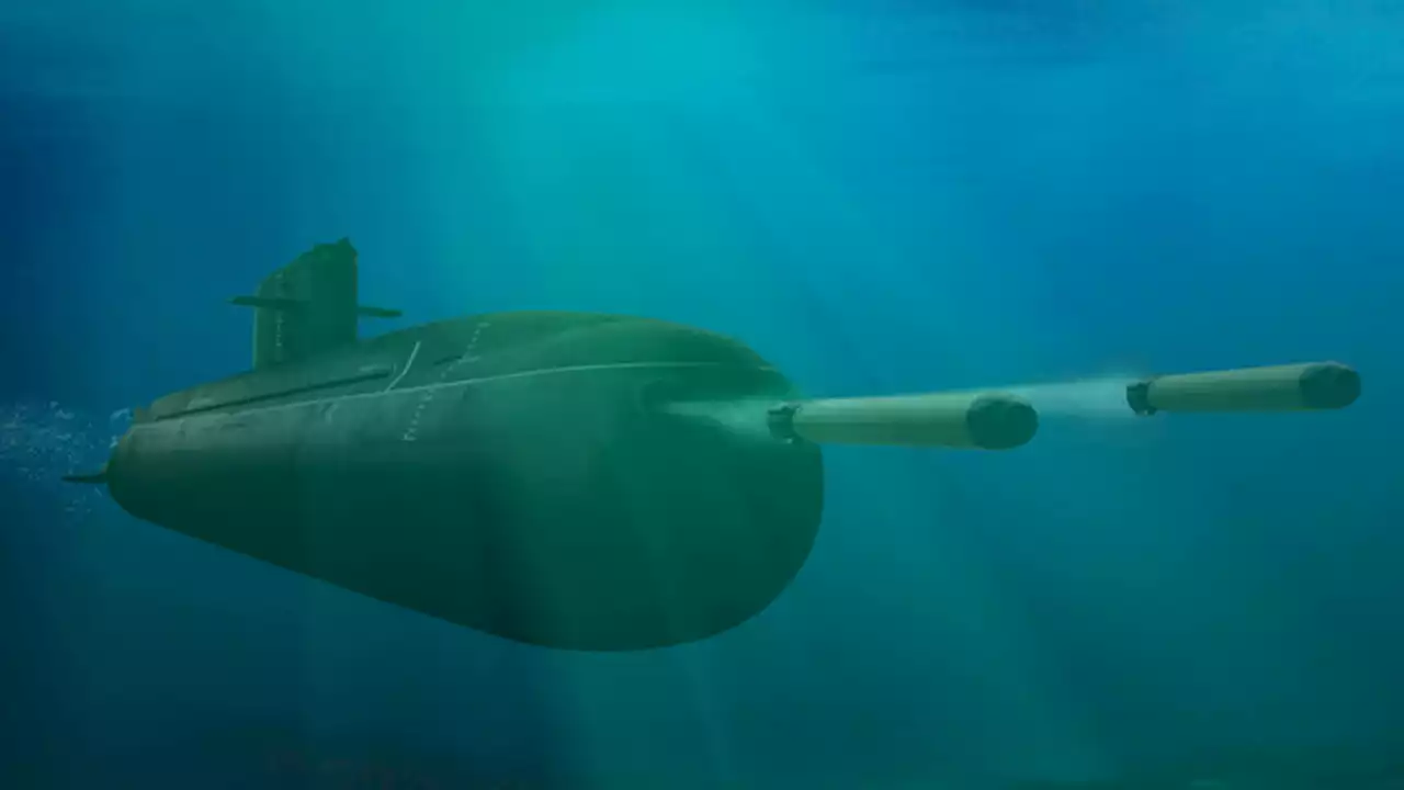 Chinese nuclear-powered torpedoes could be fired in 'swarm' over thousands of miles