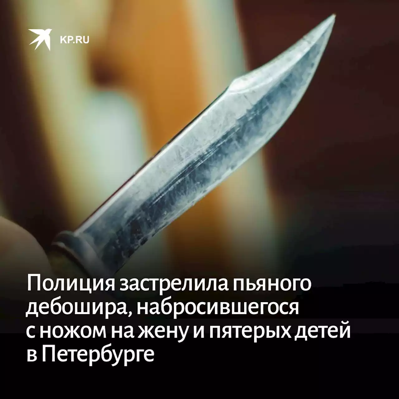 Полиция застрелила пьяного дебошира, набросившегося с ножом на жену и пятерых детей в Петербурге