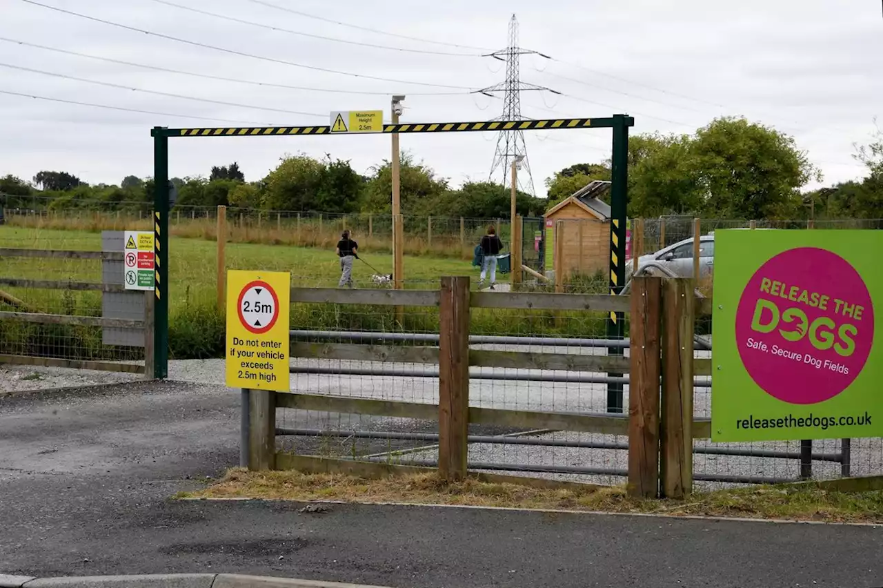 Decision time over dog exercise area next to one of Lancashire's busiest roads