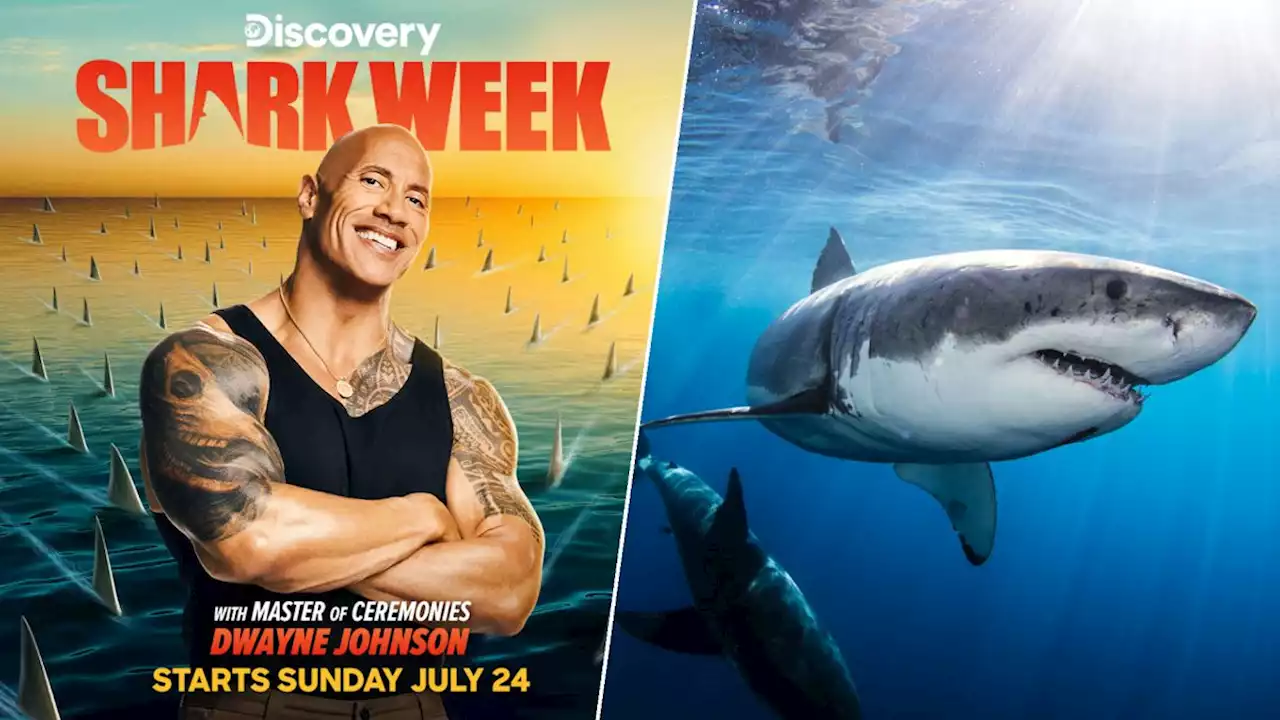 Shark Week streaming guide: How to watch Shark Week 2022