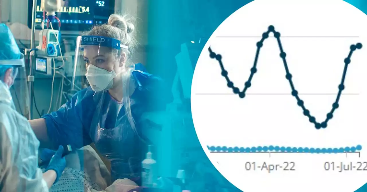 Latest Covid peak will be felt for MONTHS, Manchester's public health boss warns