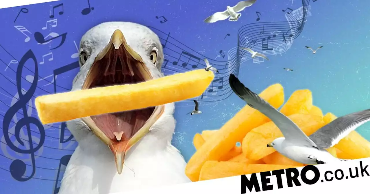 Play this song to stop seagulls from nicking your chips