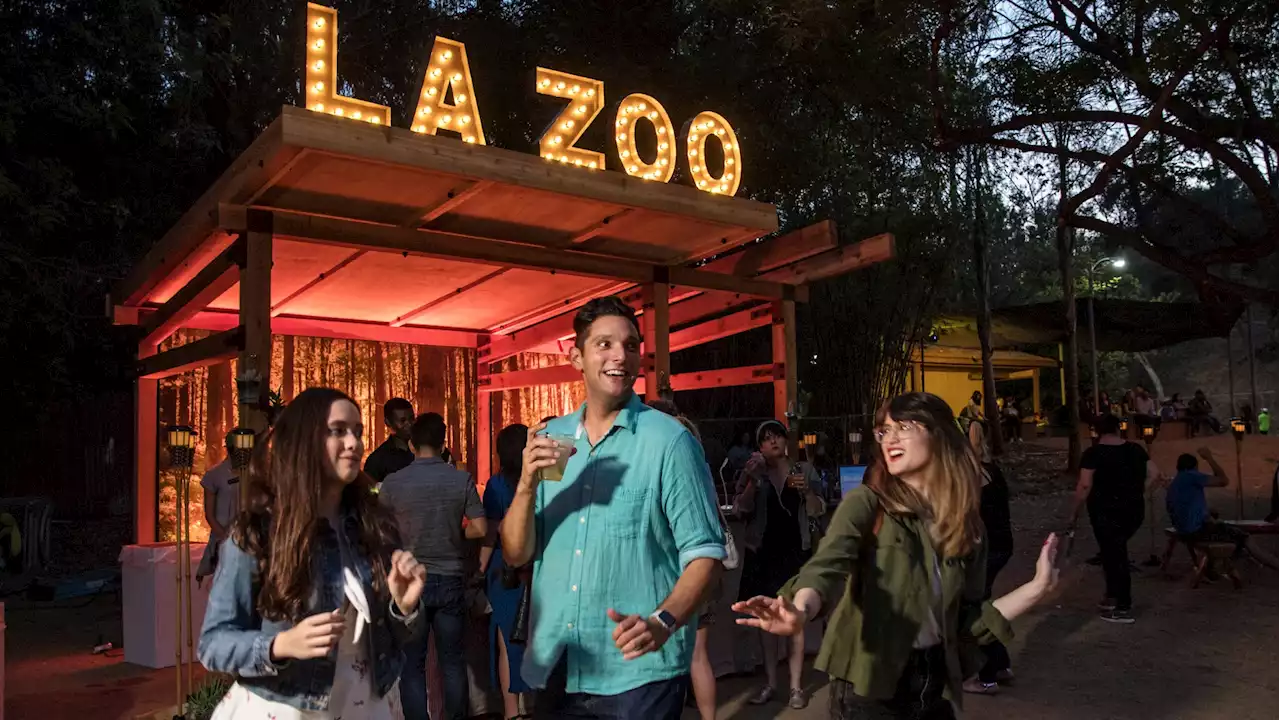 Things to Do This Weekend: An Evening at LA Zoo