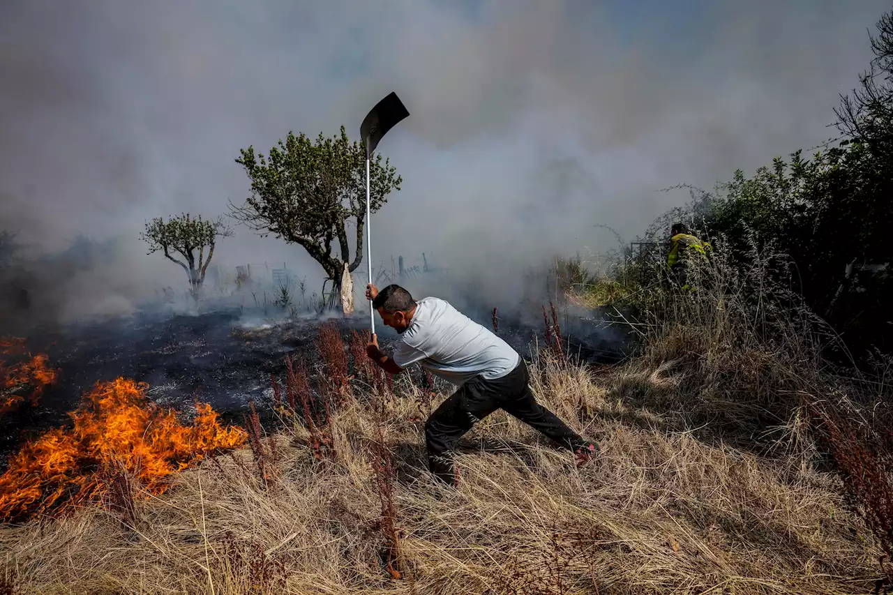 What's Behind Europe's Spate of Wildfires and Are They Worse Than Before?