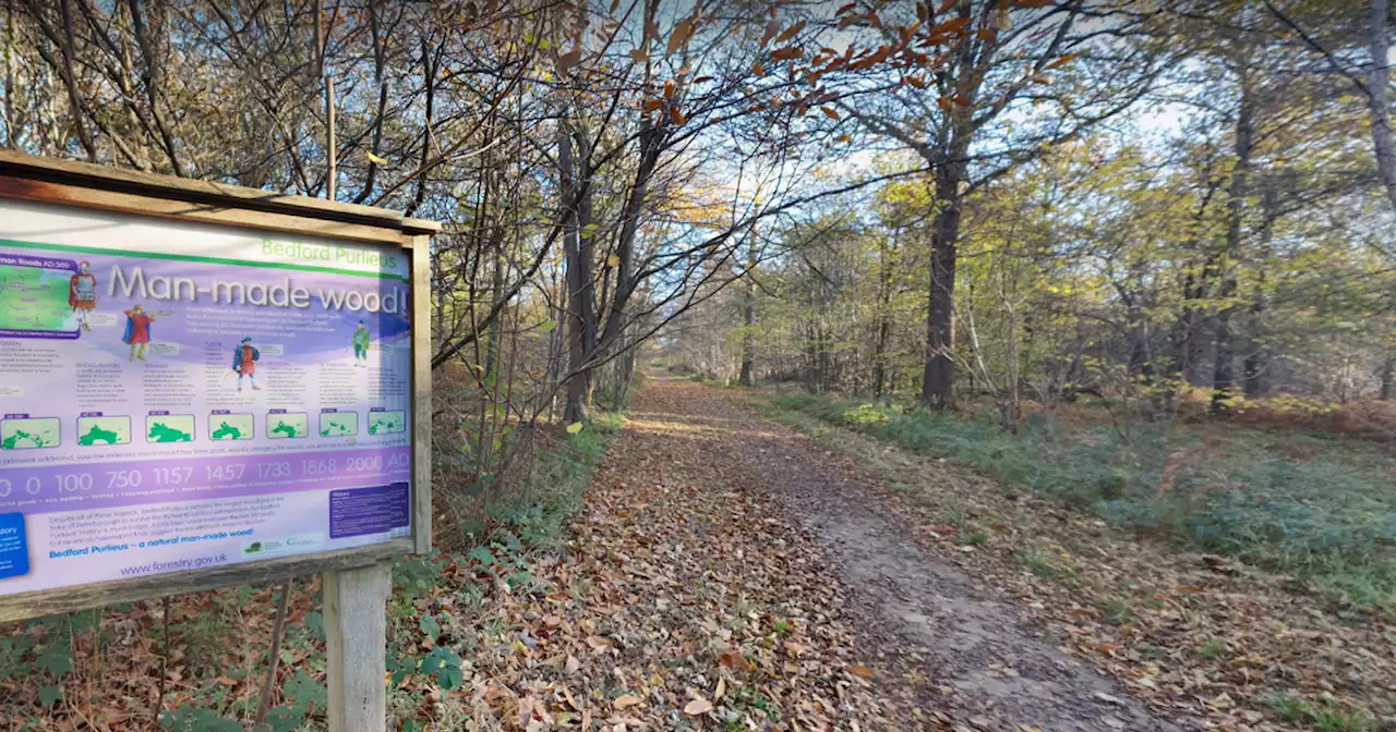 'Slim' ginger man flashed woman in Northamptonshire woods