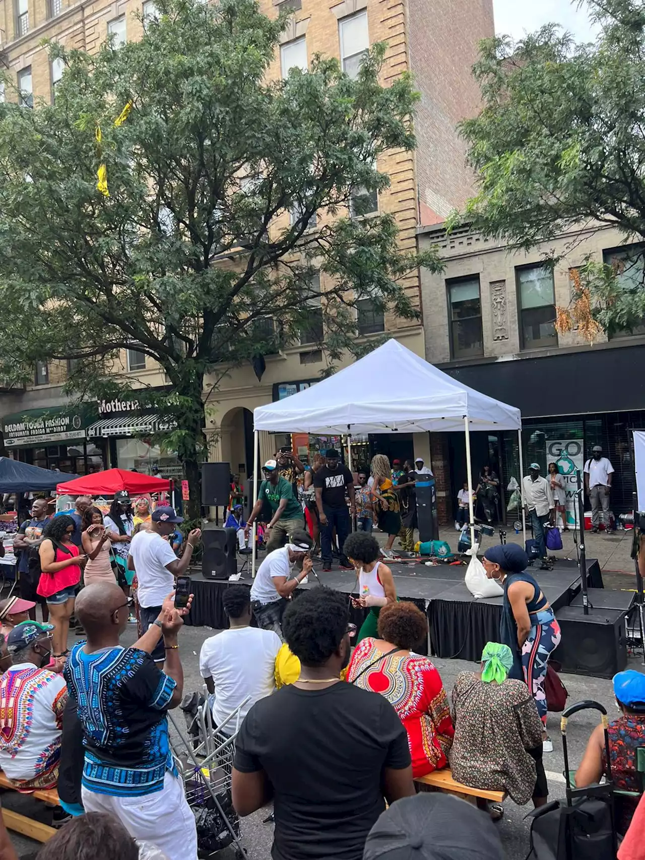 International Go Africa Carnival 2022 celebrated in Harlem - New York Amsterdam News