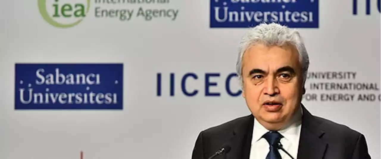 IEA Chief: Europe Must Cut Gas Usage 20% To Survive Winter | OilPrice.com