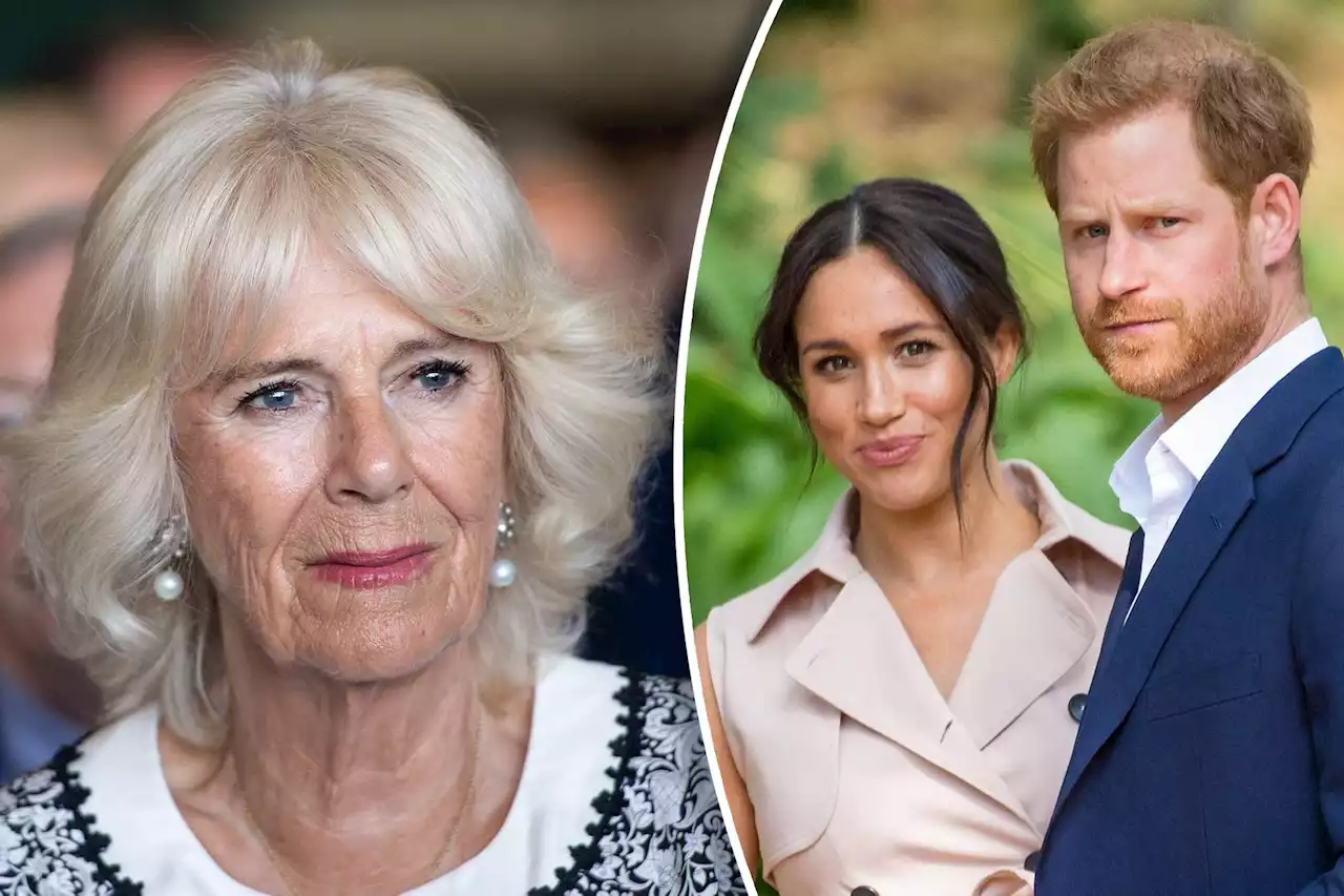 Camilla Parker Bowles allegedly joked if Meghan, Harry’s baby would have ‘ginger Afro hair’