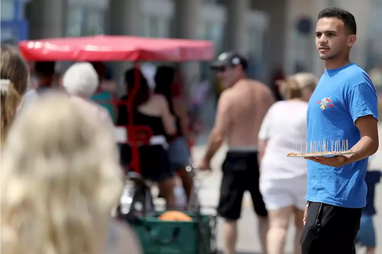 Where are all the free samples on the Jersey Shore boardwalks?