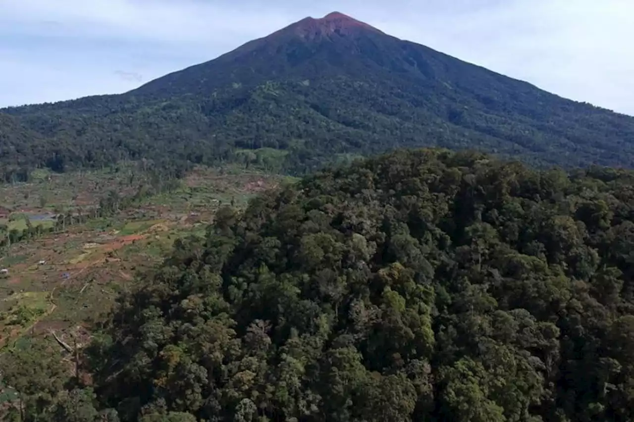 Misteri Orang Bunian di Tanah Melayu, Suka Menculik dan Menggoda Manusia