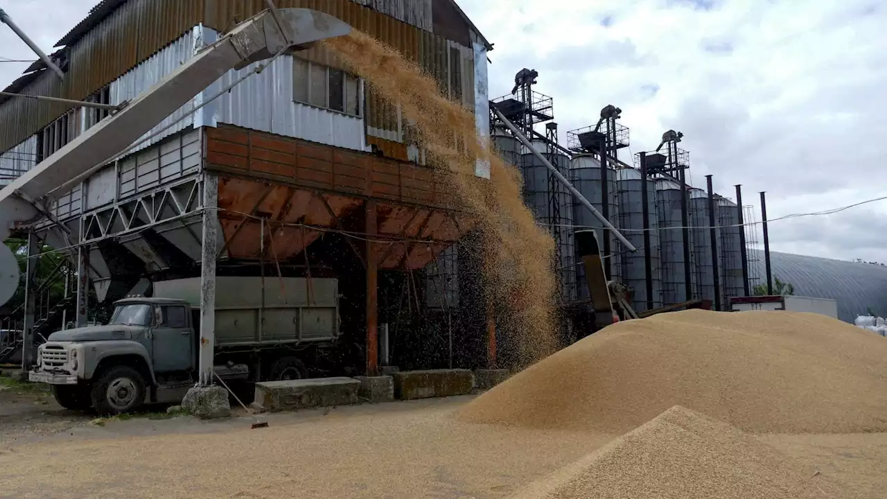 Ceasefires need trust and for Ukraine-Russia's grain exports deal that's in scarce supply