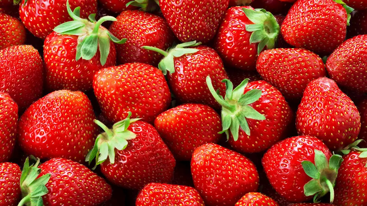 Strawberries being sold at a reduced price after heatwave leaves farmers with an 'abundance' of crops