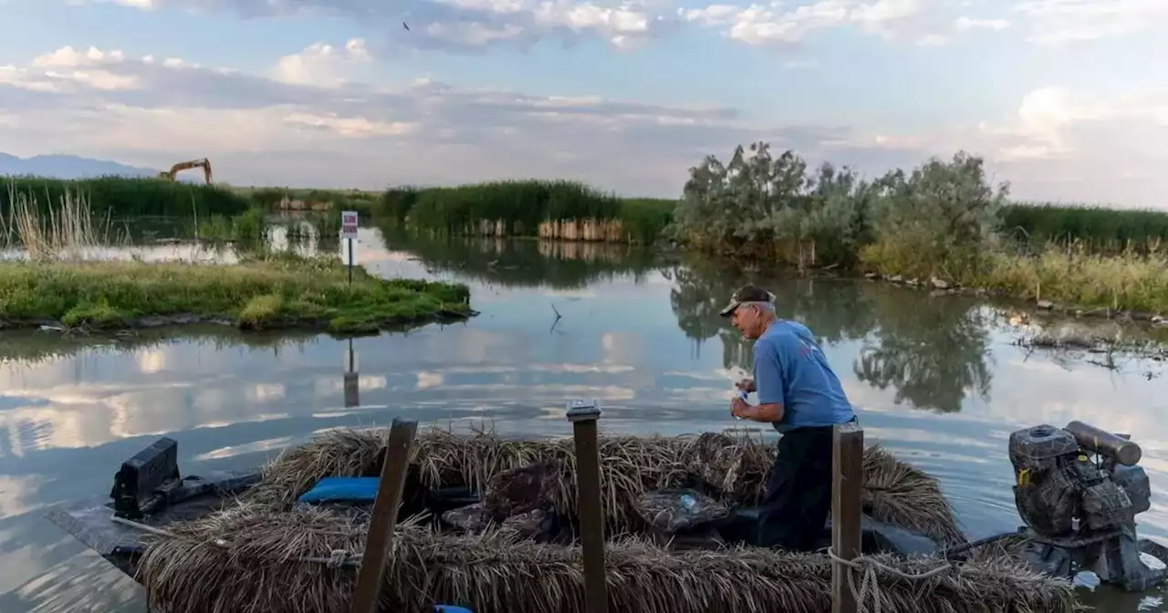 How duck hunters, wetlands and conservation help the Great Salt Lake