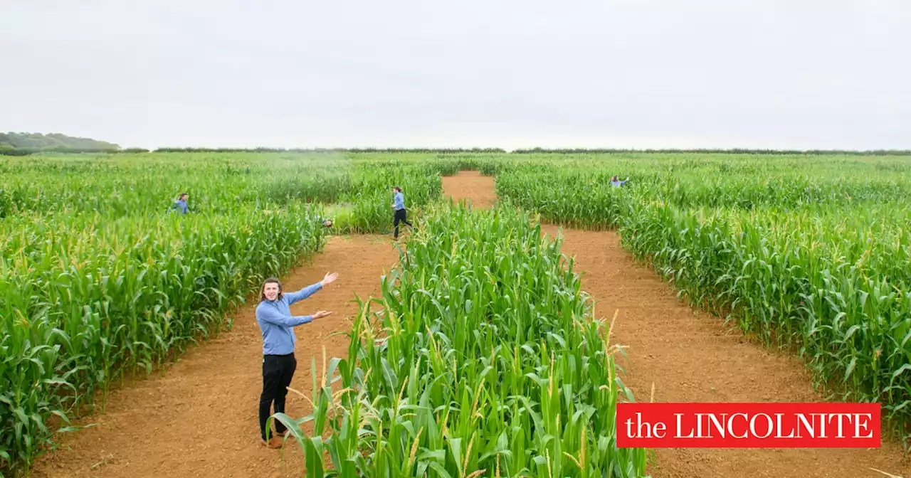 Uncle Henry's Maize Maze returns with Platinum Jubilee theme