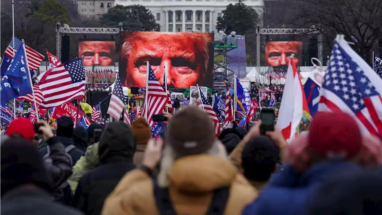 WATCH LIVE: Day 8 of the Jan. 6 hearings