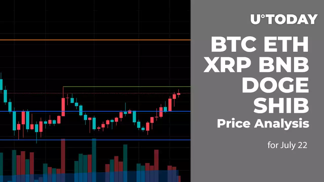 BTC, ETH, XRP, BNB, DOGE, and SHIB Price Analysis for July 22