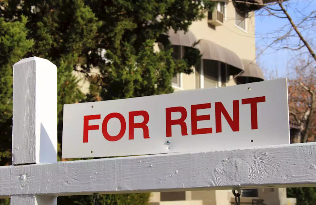 Looking to rent? Consumer advocates warn of scams on social media