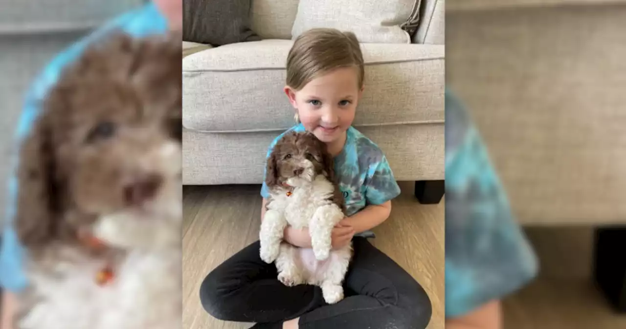 Family adopts dog with cleft lip after daughter born with cleft lip