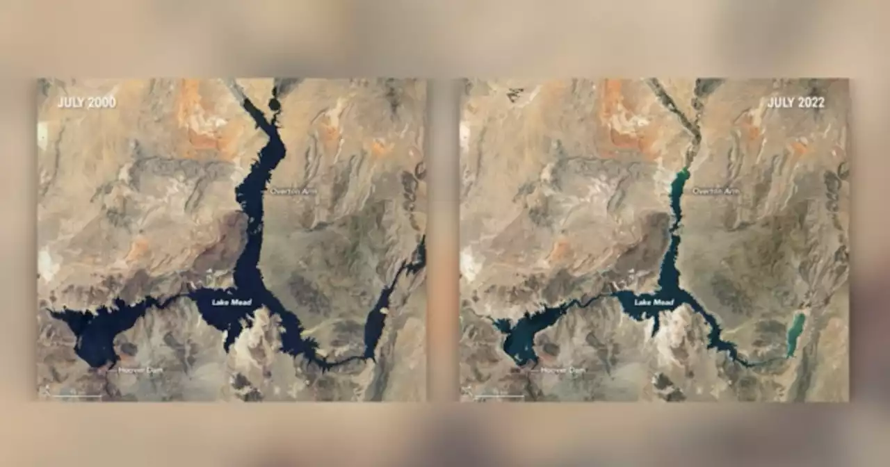 NASA releases Lake Mead images showing huge drop in water levels amid drought