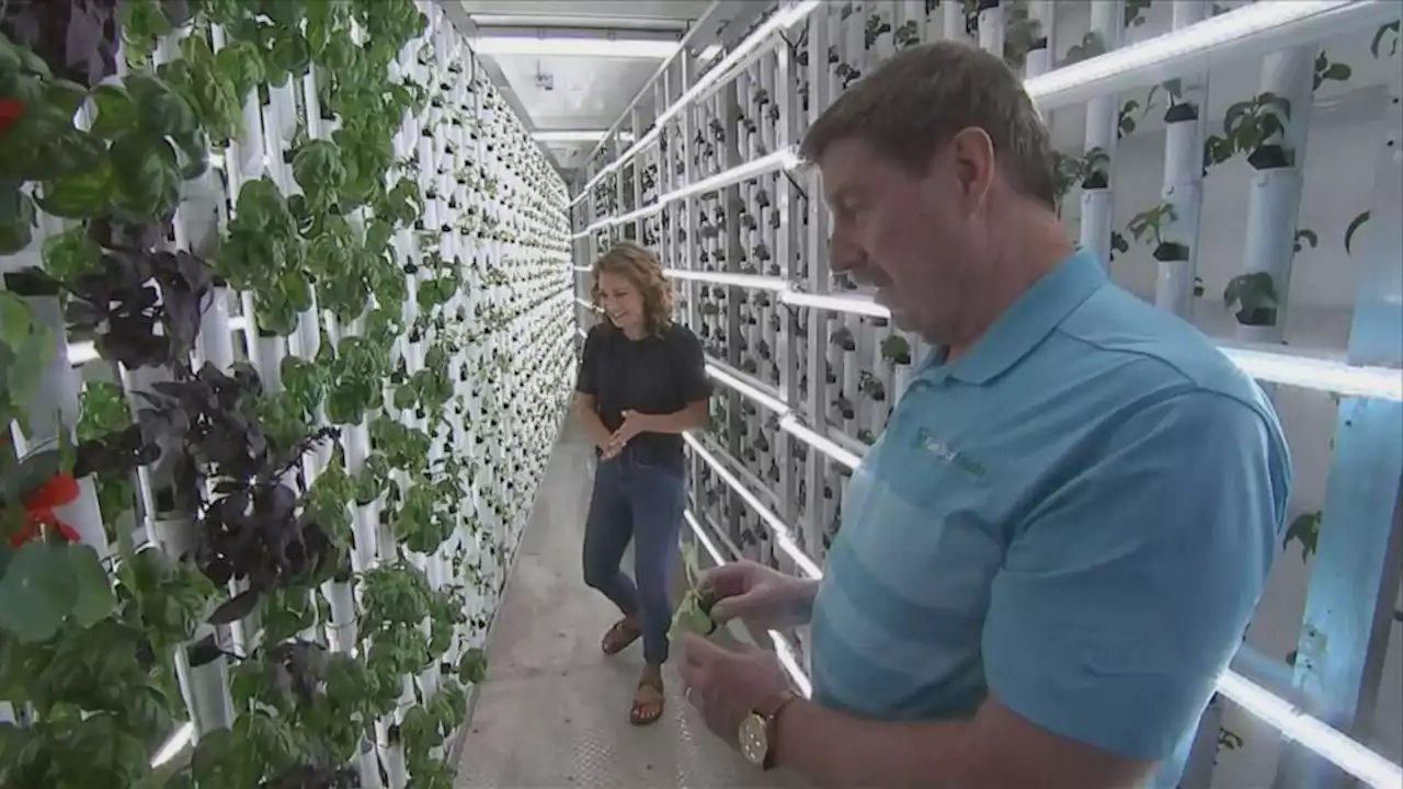 A moveable feast: Container farming may be a solution to US food deserts