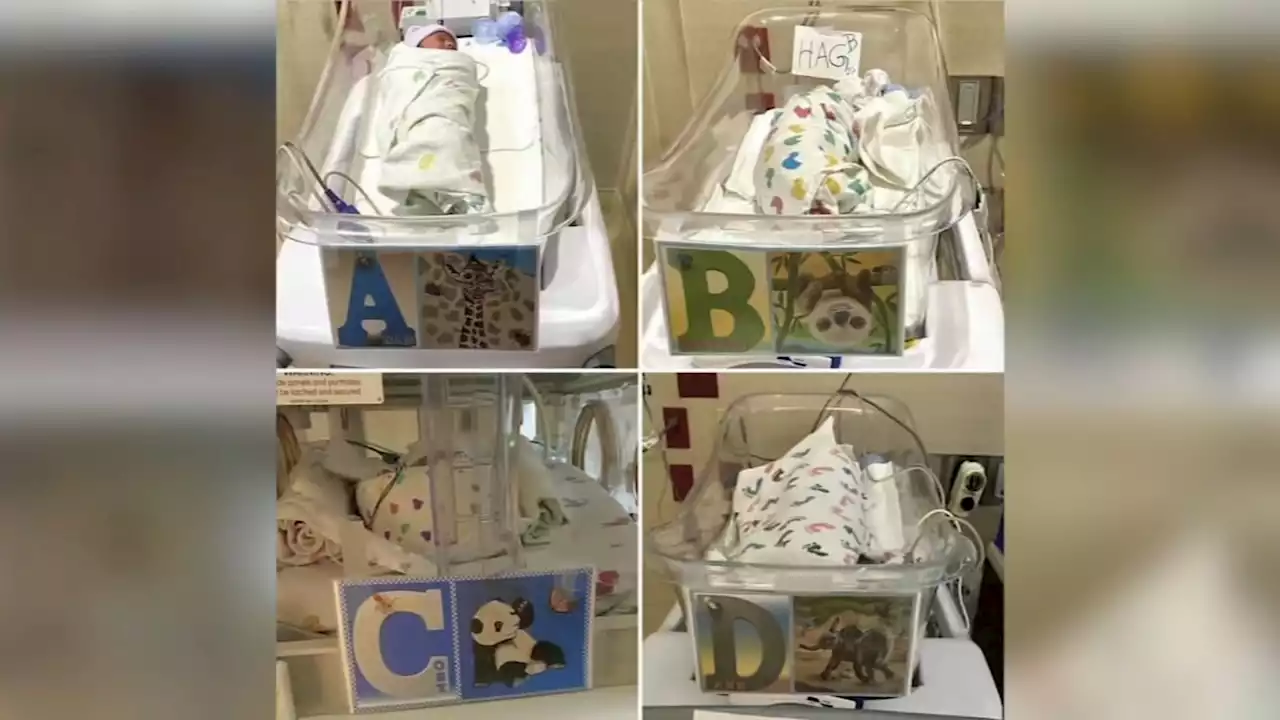 Katy family gives birth to quadruplets and hopes to find big enough van to fit their family