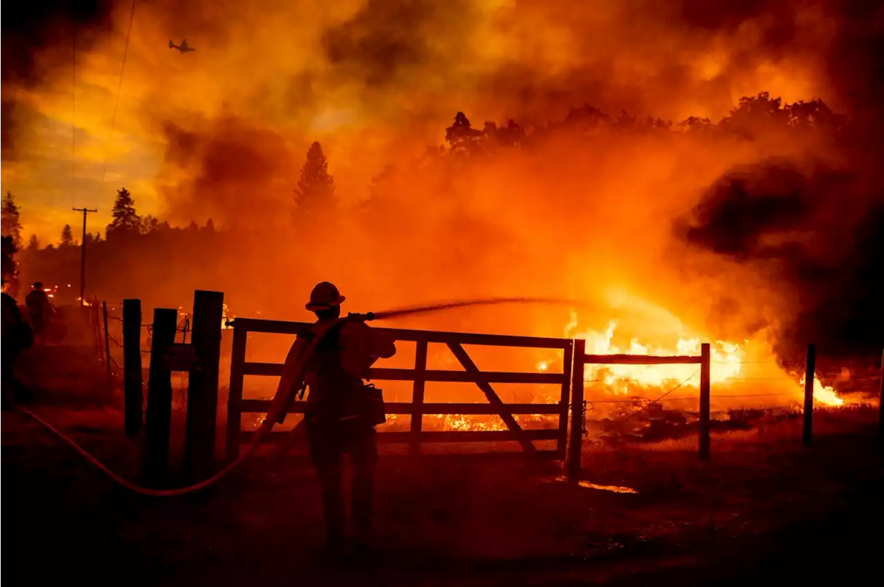 Oak Fire in Mariposa County explodes to 4,350 acres, has reached Sierra National Forest