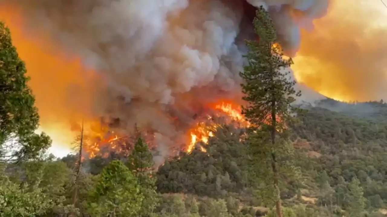 Oak Fire in Mariposa County explodes to 6,555 acres, has reached Sierra National Forest