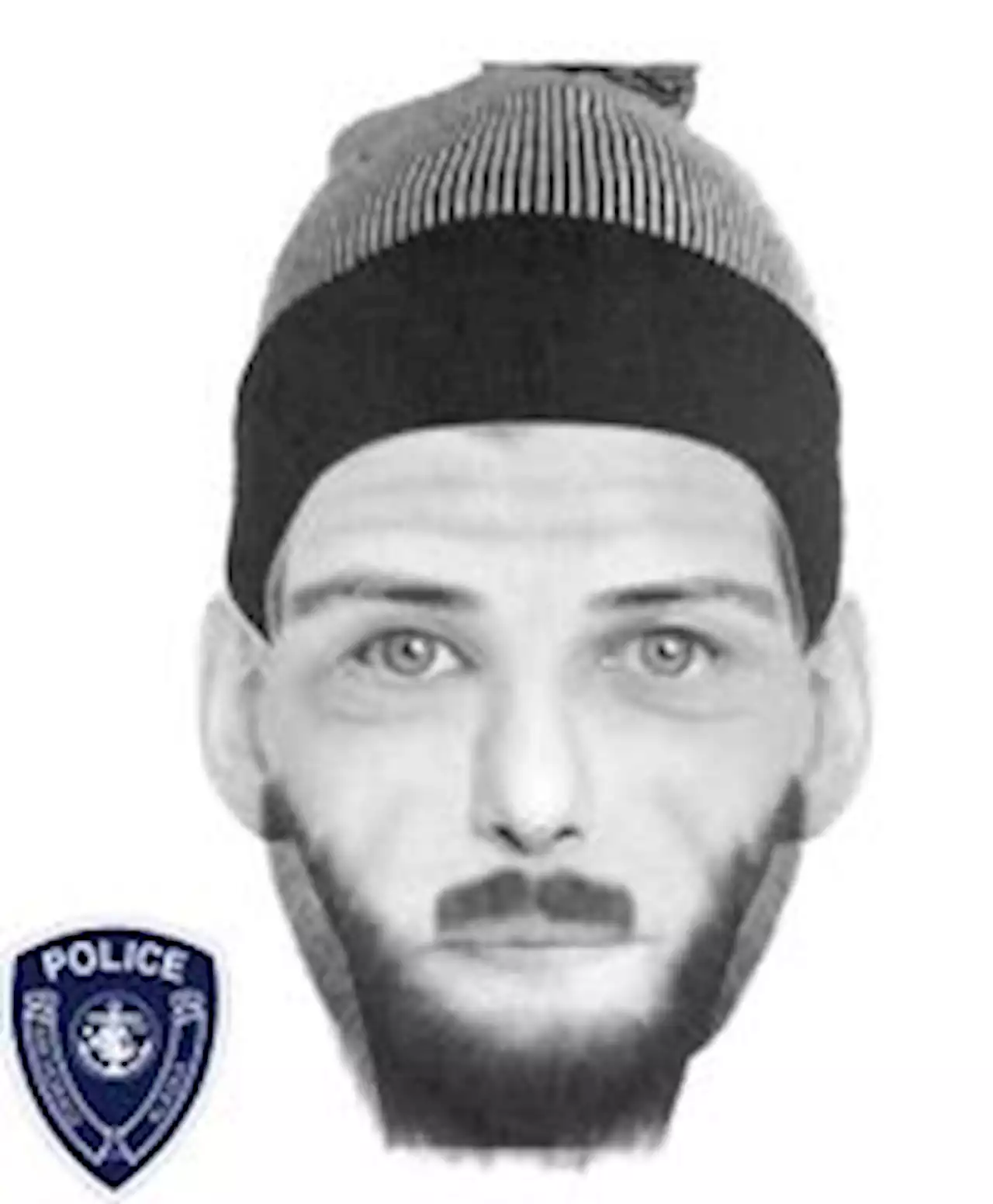 Update: Attempted Kidnapping Investigation; Need Public's Help in Identifying Suspect from Anchorage Police Department : Nixle