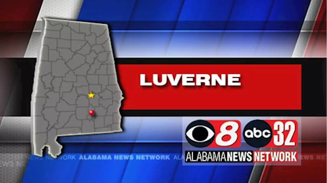 Report: Hyundai Supplier in Luverne Used Child Labor - Alabama News