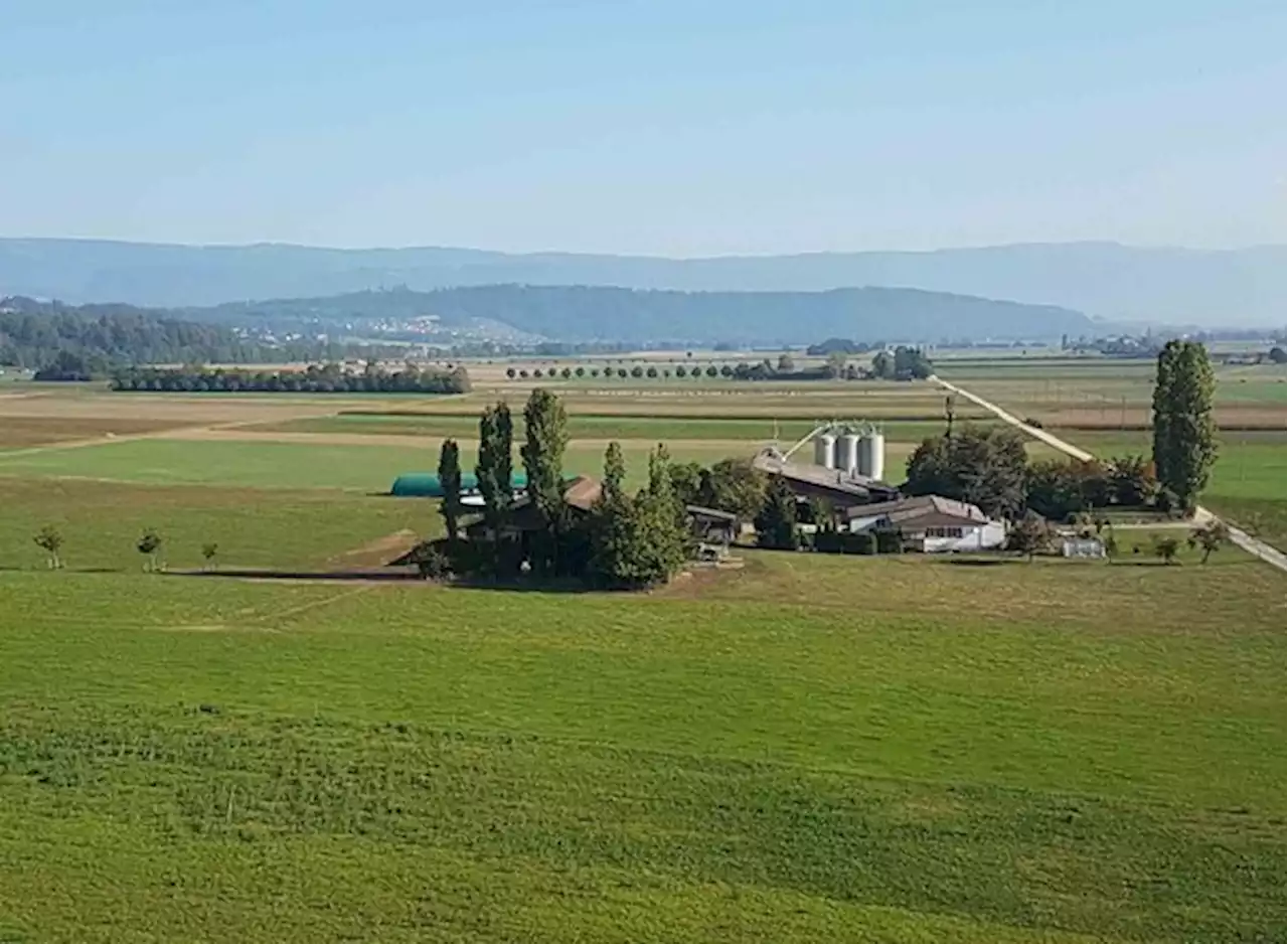 Im Kanton Neuenburg gibt's die grössten Landwirtschaftsbetriebe - bauernzeitung.ch