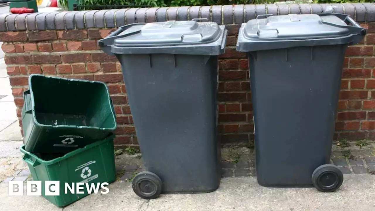 Unite strike: Most Mid Ulster bin collections to halt for a month