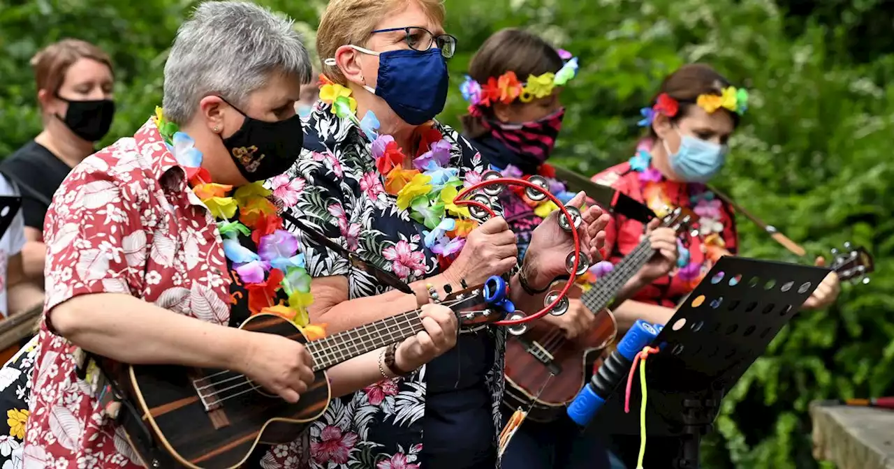 Belfast's first ukulele festival to take place next month