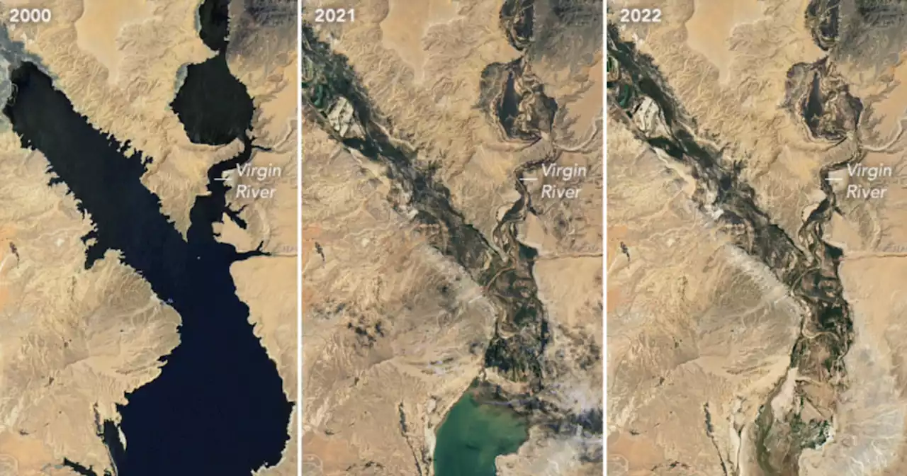 NASA Images of Shrinking Lake Mead Offer 'Stark Illustration' of Climate Crisis