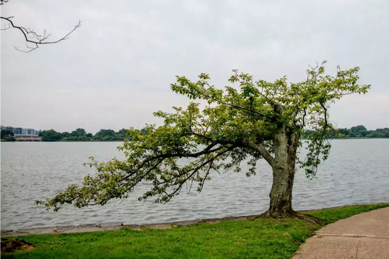 Overheard In D.C.: It's Just So Icky Out