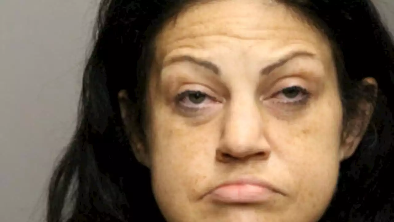 Chicago woman charged with stealing large amounts of merchandise from several retail stores