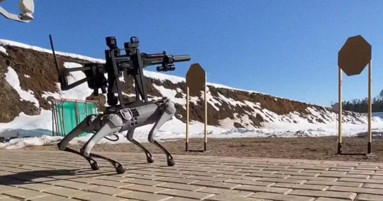 Hacker Mounts Submachine Gun on Robodog, Shoots Live Ammo