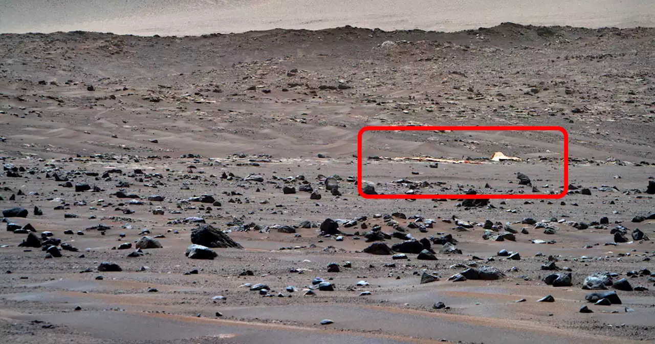 NASA Rover Finds Its Own Parachute in Martian Desert