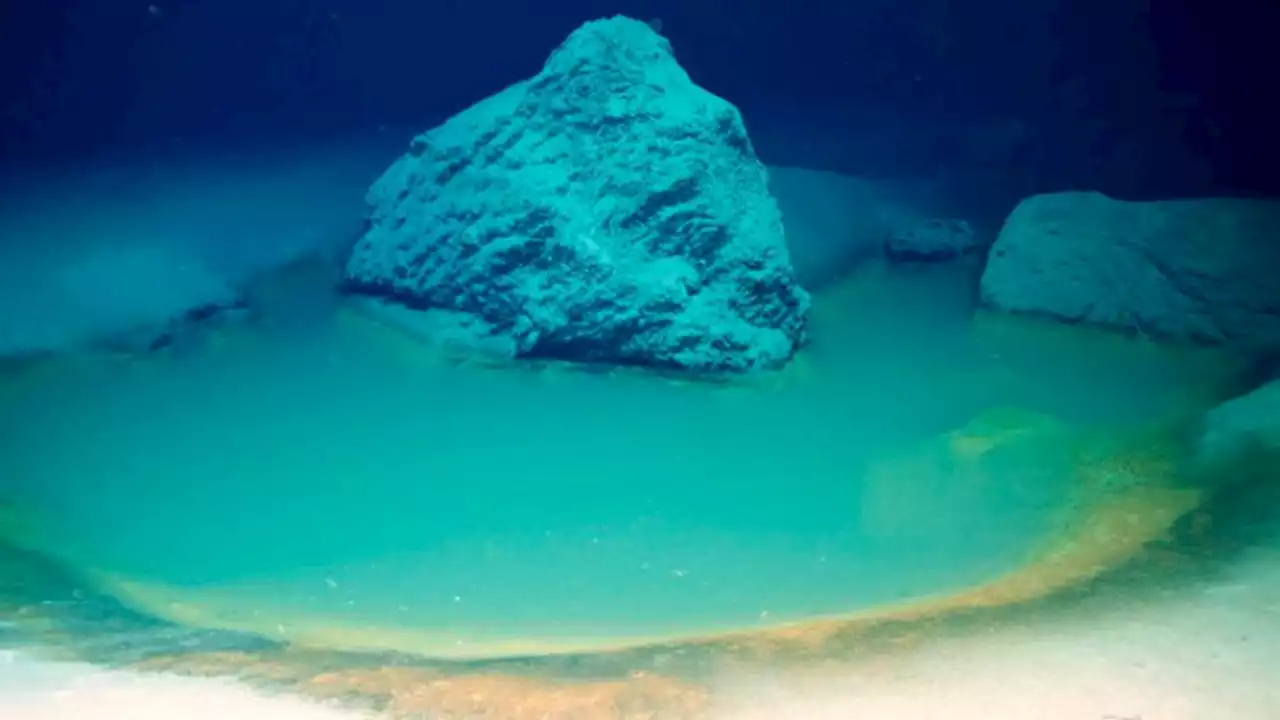 Newly discovered deadly pools beneath the ocean kill anything that swims into them